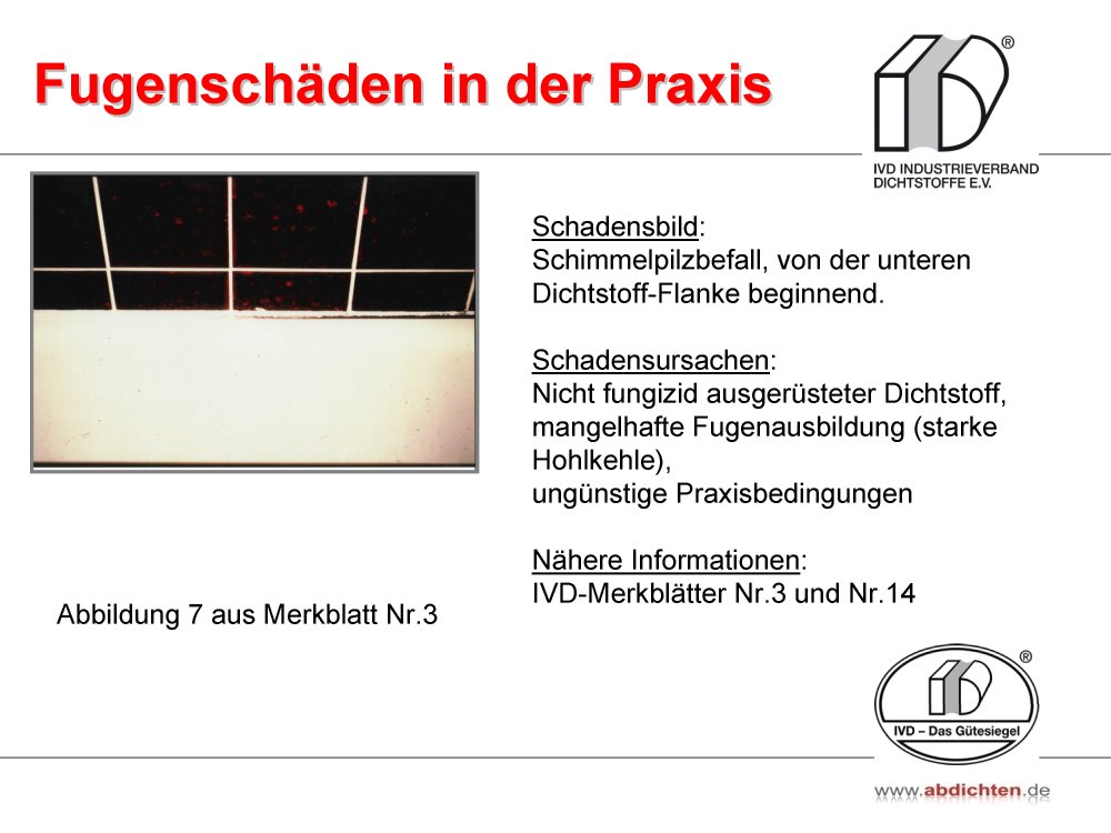 Sanierung > Schimmelpilzbefall (von der unteren Dichtstoff-Flanke beginnend) | abdichten.de